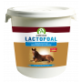 Lactofoal