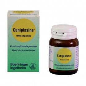 Caniplasine