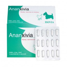 Ananxivia Chat/Petit chien