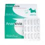 Ananxivia Chat/Petit chien
