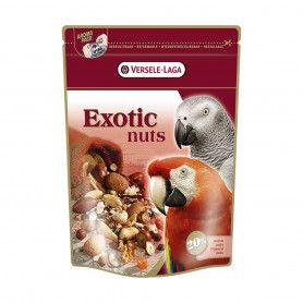 Perroquets Exotic Nuts