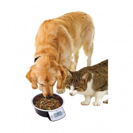 Gamelle intelligente Pet Bowl