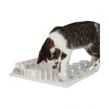 Jouet chat éducatif : Plateau Fun Board