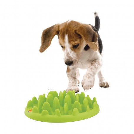 Gamelle Green Slow Dog pour chien