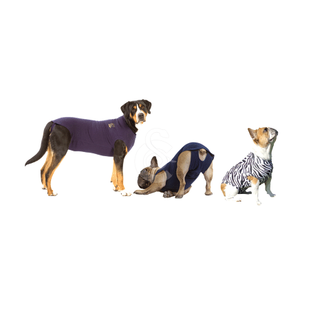 Gilet Pet Shirt pour chien - 4XS - Lg : 19-30 cm - (Petit Chihuahua...) (Bleu marine)