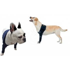 Manche antérieure double Pet Shirt pour chien - 3XS - Lg : 11 cm - Tour de poitrail : 27 - 33 cm (Bleu)