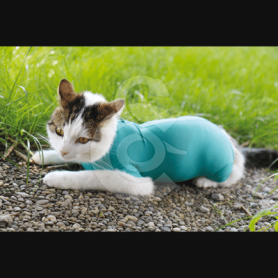 Gilet CatBody VetMedCare pour chat