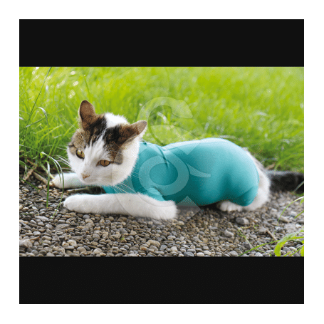 Gilet CatBody VetMedCare pour chat