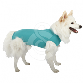 Gilet DogBody VetMedCare pour chien