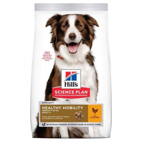 Canine Adult Medium Healthy Mobility