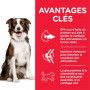 Canine Adult Medium Healthy Mobility