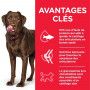 Canine Adult Large Healthy Mobility