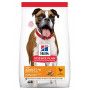 Canine Adult Light Medium Poulet