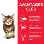 Kitten Poulet sachet Repas