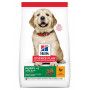 Puppy Large Poulet Healthy Development Value Pack