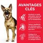 Canine Mature Adult 6+ Large Breed Poulet