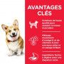 Canine Adult Small & Mini Poulet