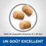 Vet essentials Canine Adult Dental Health Medium