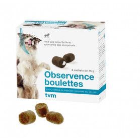 Observence Chien en boulettes