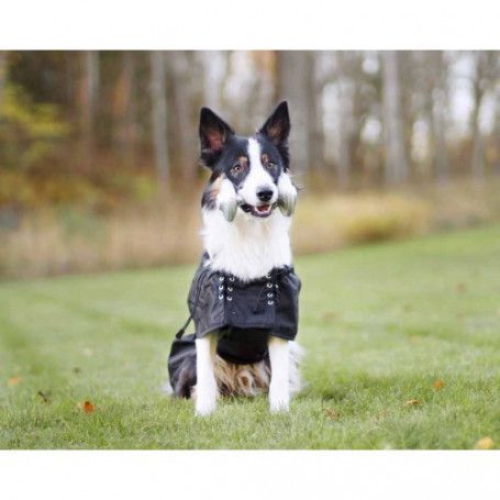 Manteau imperméable pour chien Back On Track