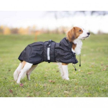 manteau impermeable pour grand chien