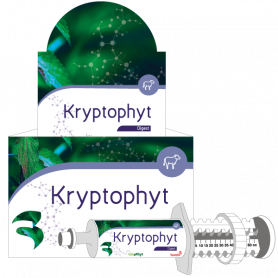 Kryptophyt