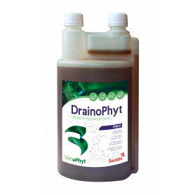 Drainophyt