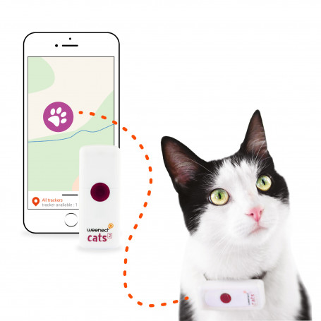 Collier GPS pour chat WEENECT Cats 2