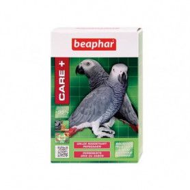 Care + Perroquets Gris du Gabon