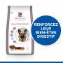 Vet Essentials Canine Adult Healthy Digestive Biome Large