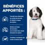 C/D Urinary Multicare Croquettes pour Chien au Poulet