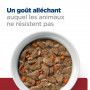 I/D Digestive Care Mini Mijotés pour Chien et chiot Poulet & Légumes