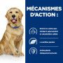 J/D Mobility Croquettes pour Chien au Poulet