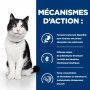 I/D Digestive Mijotés pour Chat et Chaton Poulet & Légumes