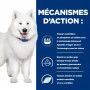 K/D J/D Kidney+Mobility Croquettes pour Chien