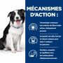 t/d Dental Croquettes pour Chien au Poulet