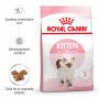 Cat Kitten Royal Canin