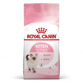 Cat Kitten Royal Canin