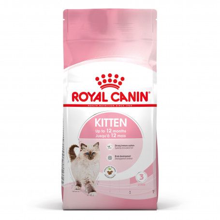 Cat Kitten Royal Canin