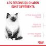 Cat Kitten Royal Canin