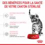 Cat Kitten Sterilised Royal Canin