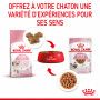 Cat Kitten Royal Canin Emincé en sauce Sachet repas