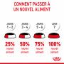 Cat Kitten Royal Canin Emincé en sauce Sachet repas