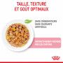 Cat Kitten Royal Canin Emincé en gelée Sachet repas