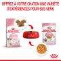 Cat Kitten Royal Canin Emincé en gelée Sachet repas