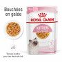 Cat Kitten Royal Canin Emincé en gelée Sachet repas