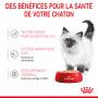 Cat Kitten Royal Canin Mousse Sachet repas