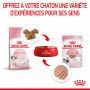 Cat Kitten Royal Canin Mousse Sachet repas