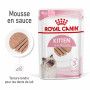 Cat Kitten Royal Canin Mousse Sachet repas