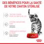 Cat Kitten Sterilised Royal Canin Emincé en gelée Sachet repas